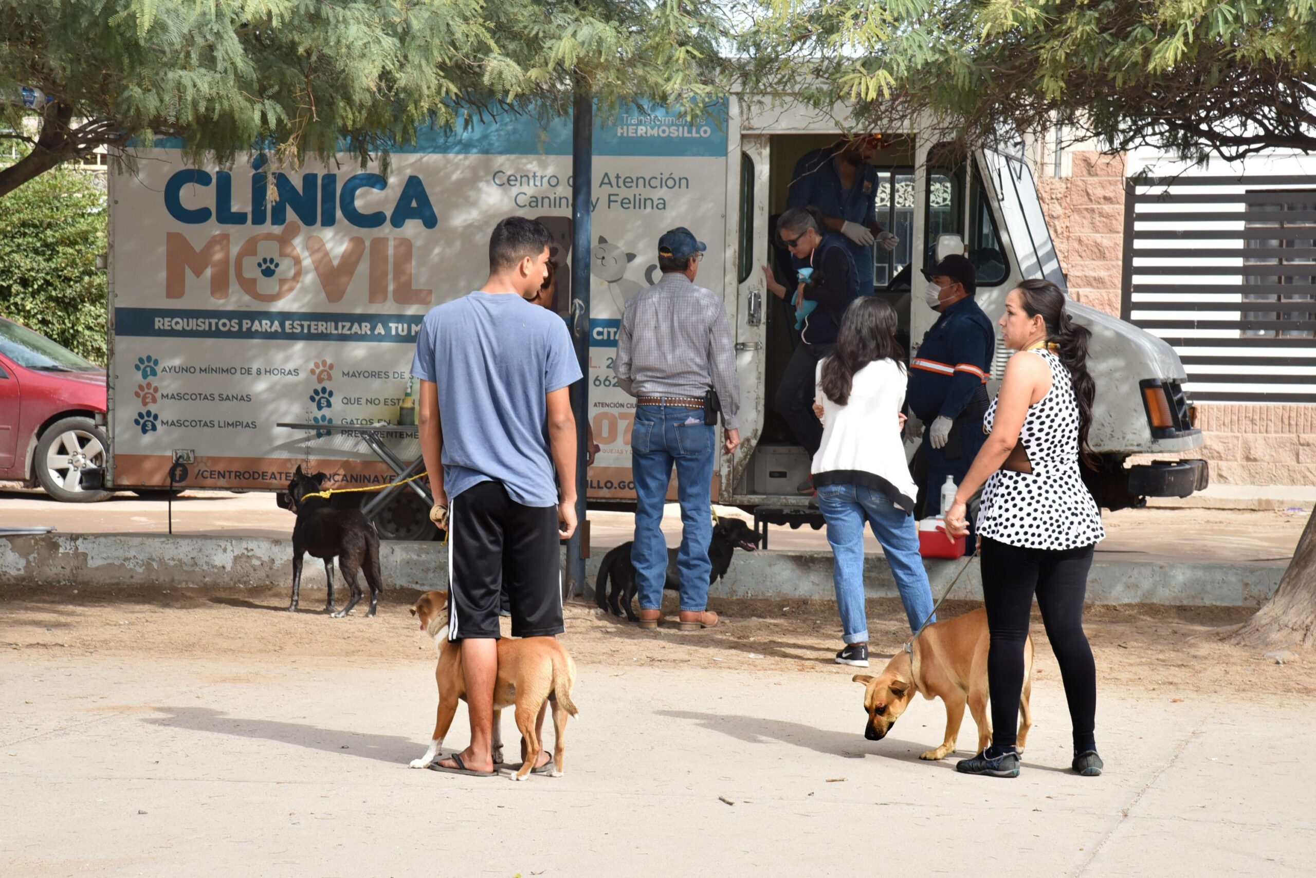 Las cirugías se realizarán a parir de la próxima semana en La Manga, Altares y Parque Industrial