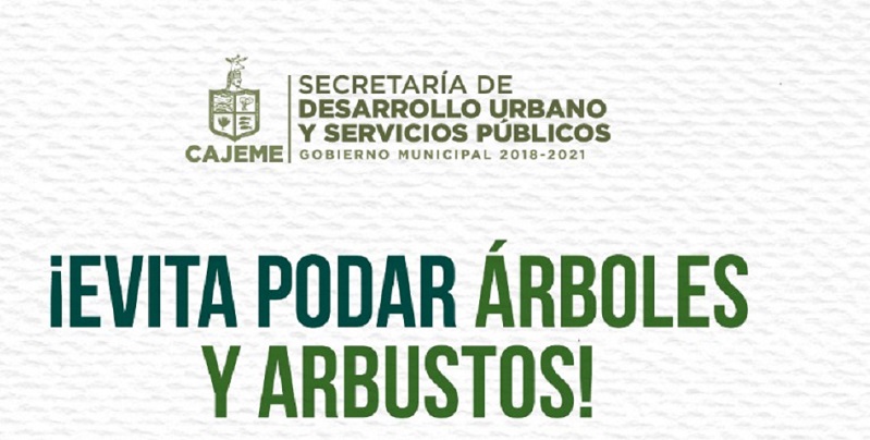 LLAMA ECOLOGÍA A CUIDAR EL MEDIO AMBIENTE EVITANDO PODAR ÁRBOLES Y ARBUSTOS