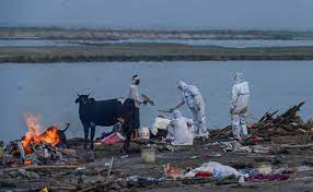 Decenas de cadáveres aparecen a orillas de río en India