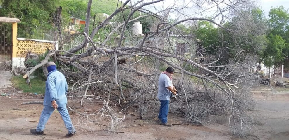 Debido a la torrencial lluvia, se llevan a cabo labores de limpieza