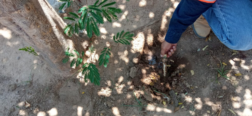 Realiza Servicios Públicos revisión de nuevo sistema de riego por goteo en panteones
