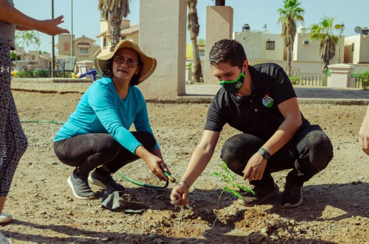 Continua Verde Sonora con programas ecológicos en la entidad
