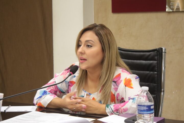 DEMANDA DIPUTADA DIANA PLATT MEJORES CONDICIONES PARA TRABAJADORES DEL SECTOR SALUD.