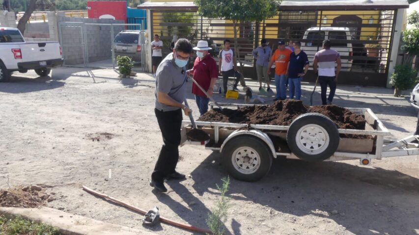 Realizan campañas de reforestación y limpieza en La Mesa