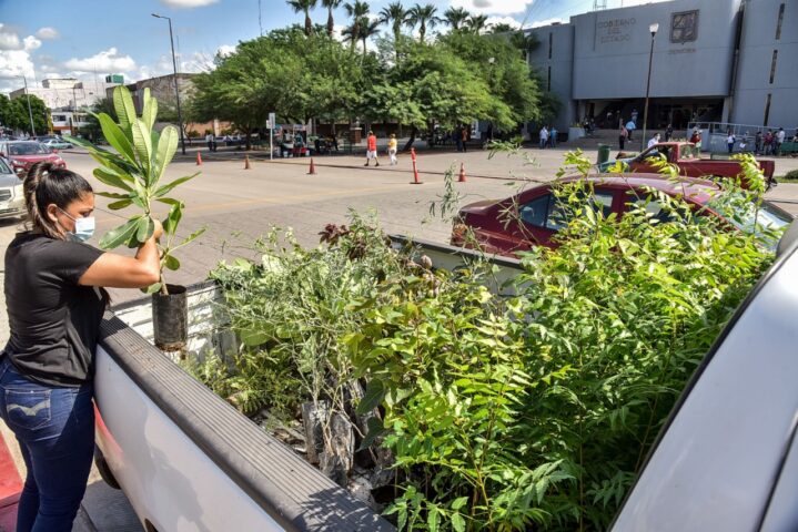 CREAN CONCIENCIA MEDIOAMBIENTAL CON DONACIÓN DE ÁRBOLES EN PROGRAMA DRIVE-THRU