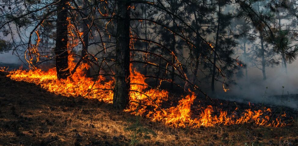 La ONU insta a «redoblar urgentemente» los esfuerzos en cambio climático