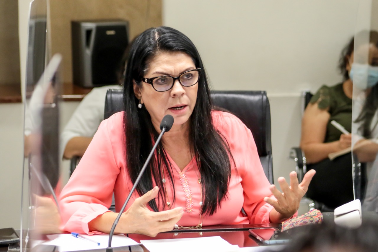 SE DEBE LEGISLAR EN MATERIA DE AGUA SIN PERDER EL SENTIDO SOCIAL: ERNESTINA CASTRO.