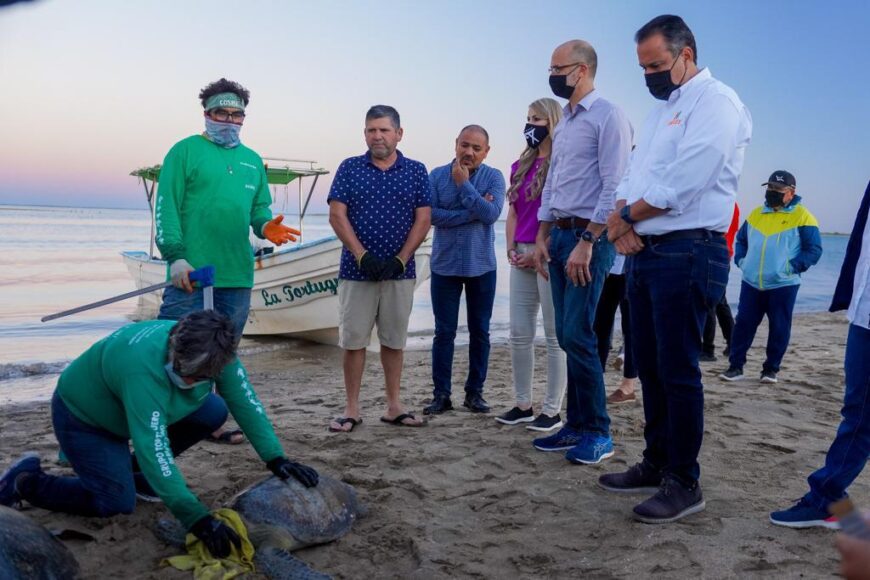 Participa Toño Astiazarán y alcalde de San Pedro Garza García en liberación de tortugas