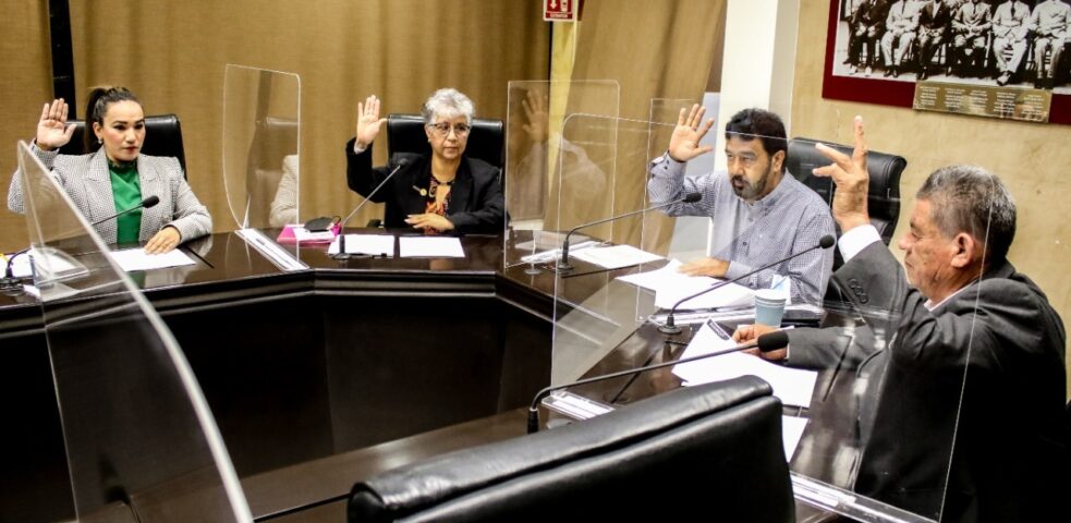 DICTAMINA COMISIÓN DE ASUNTOS INDÍGENAS INICIATIVA QUE BUSCA SALVAGUARDAR LAS ACTIVIDADES ARTESANALES.