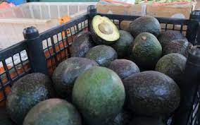 Por las nubes los precios de limón y aguacate en México