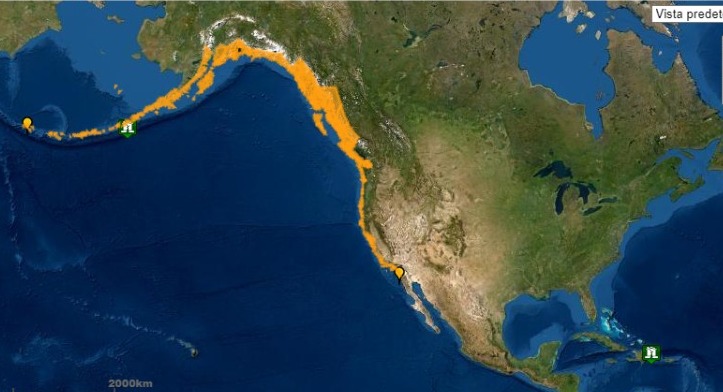 Emiten alerta de tsunami tras erupción de volcán en Tonga; incluye Baja California
