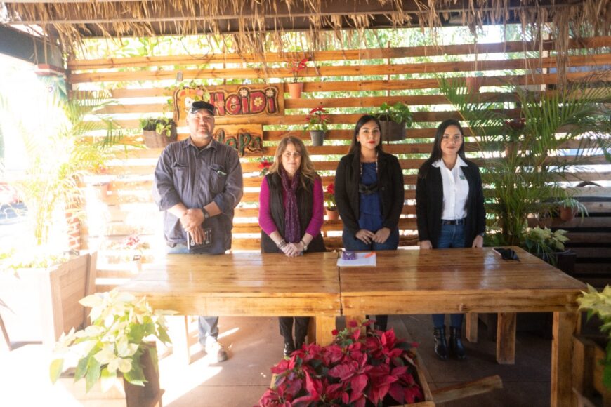 SE RECICLARÁN ÁRBOLES DE NAVIDAD EN CAJEME