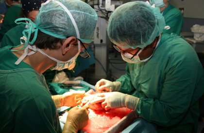 ¡Insólito! Trasplantan con éxito riñón de cerdo a humano en EU