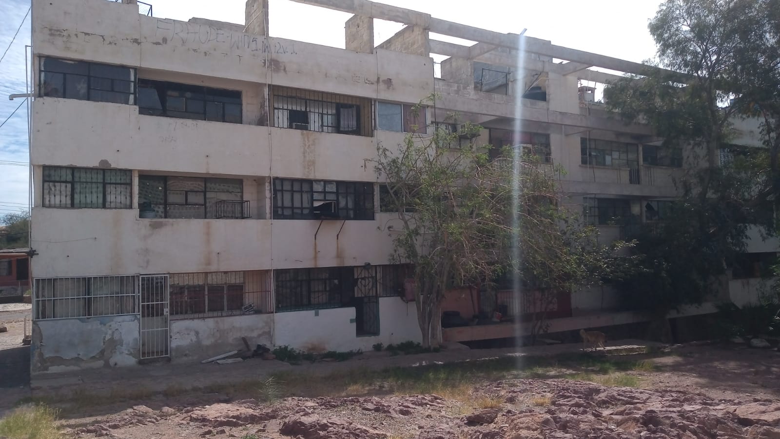 Recorre Protección Civil edificaciones luego de registro de sismo