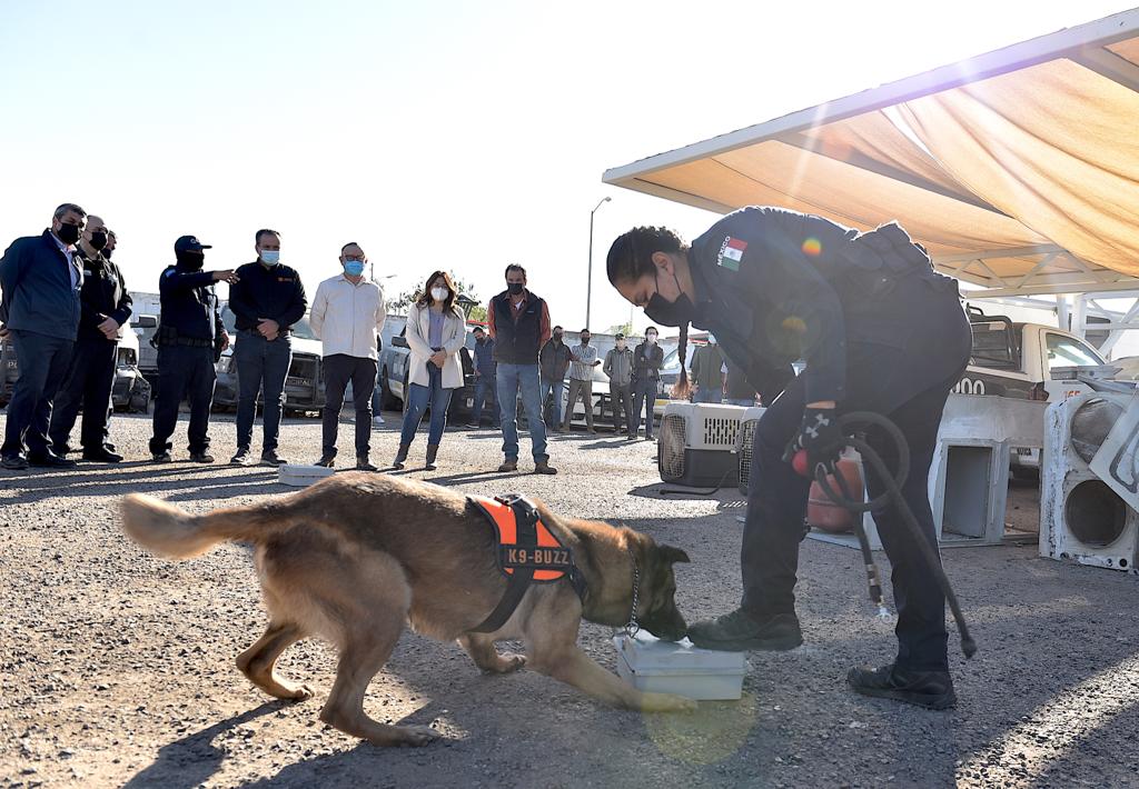 Conoce Toño Astiazarán capacidades de unidad K9