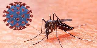 Mujer argentina sale positiva a COVID-19 y dengue al mismo tiempo tras viaje a Brasil