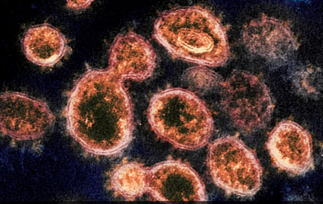 Expertos chinos desarrollan anticuerpo aspirable contra SARS-CoV-2 y sus variantes