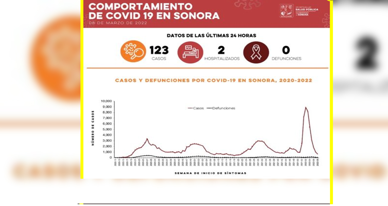 Reporta Secretaría de Salud 123 casos y ninguna defunción por Covid-19