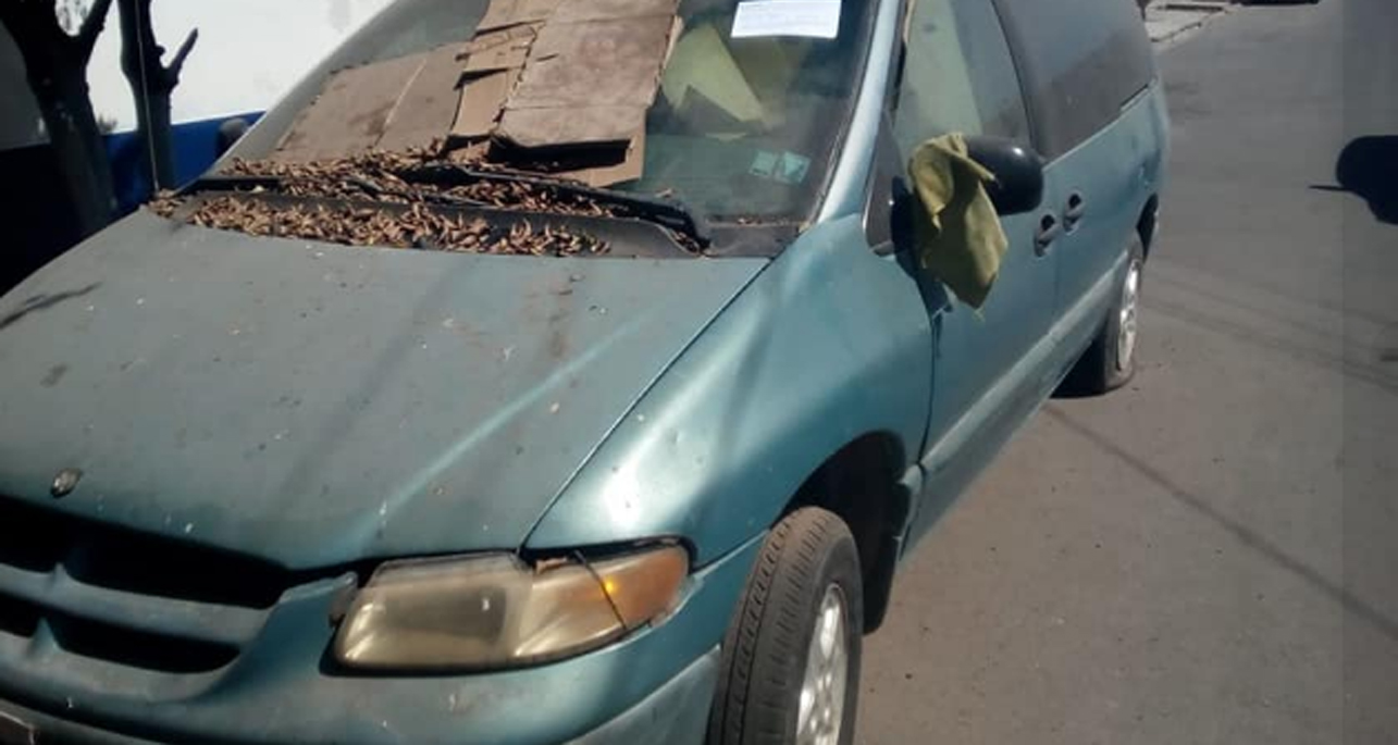 EXHORTA TRÁNSITO MUNICIPAL A PROPIETARIOS DE VEHÍCULOS EN ESTADO DE ABANDONO A NO OBSTRUIR VIALIDAD PÚBLICA