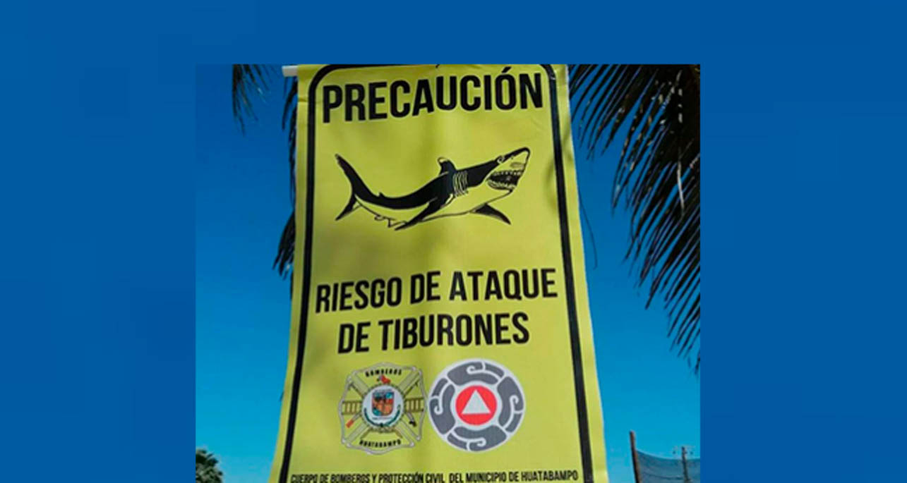 Colocan en playa de Huatabampito pendones de riesgo por presencia de tiburones