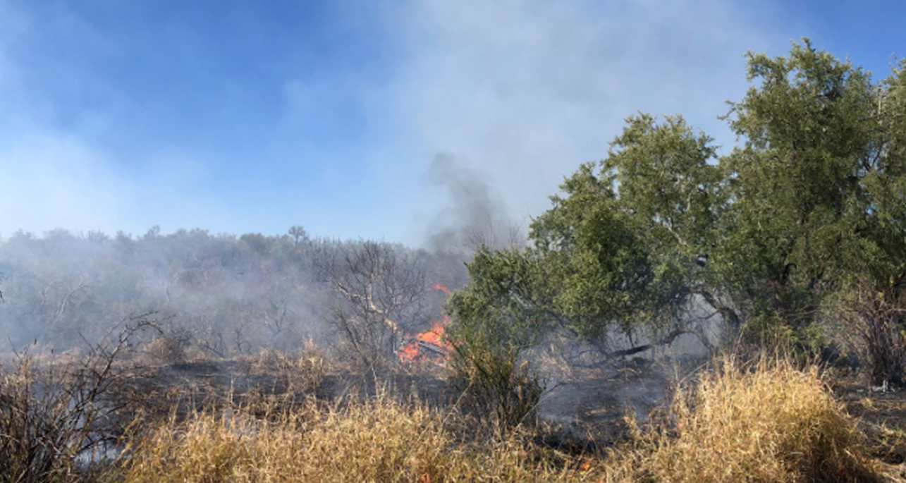 Registran contundentes avances en combate a incendio forestal en carretera Hermosillo-Santa Ana