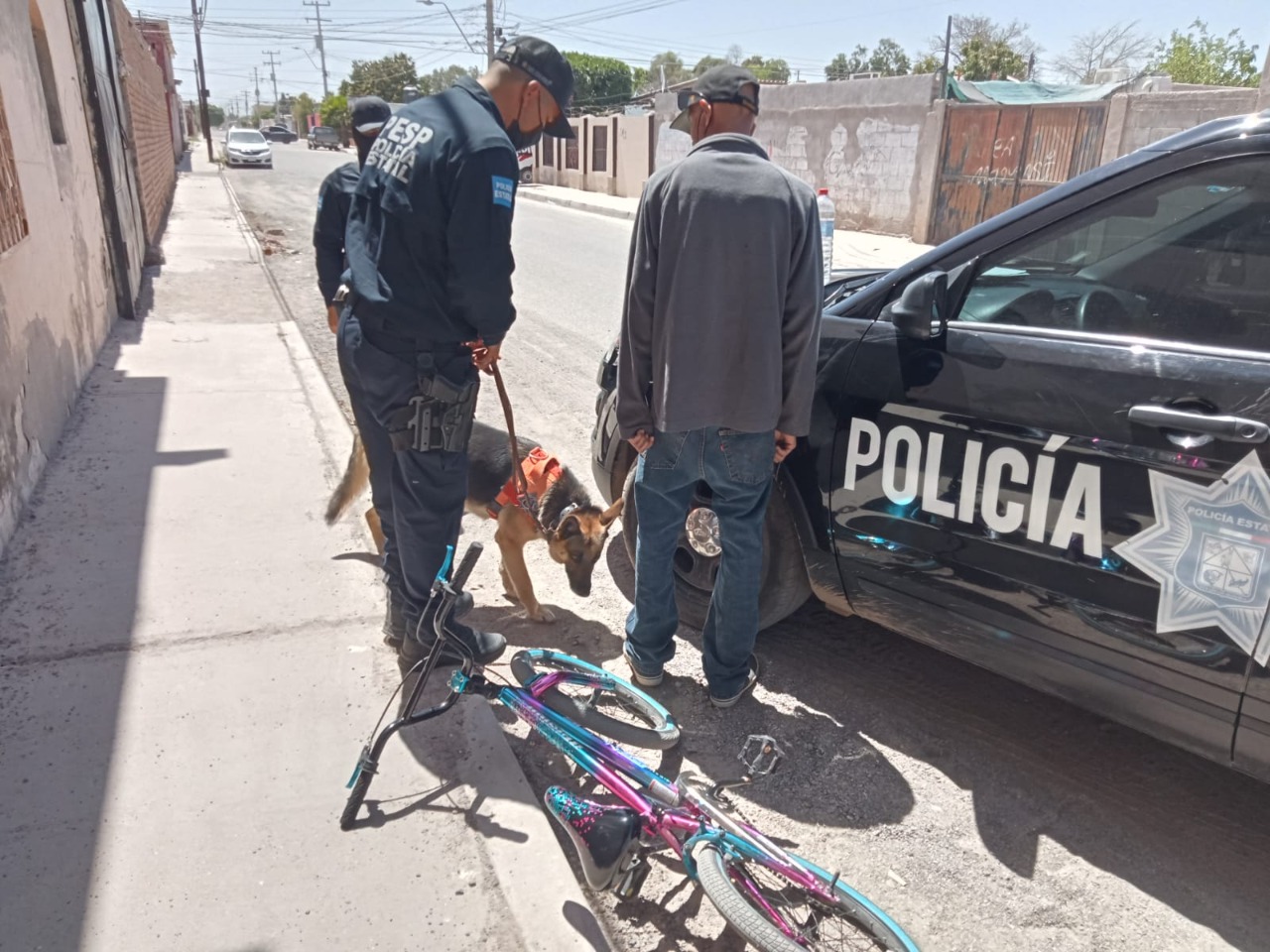 Unidad K-9 de la Policía Estatal participa en operativos de seguridad en Hermosillo