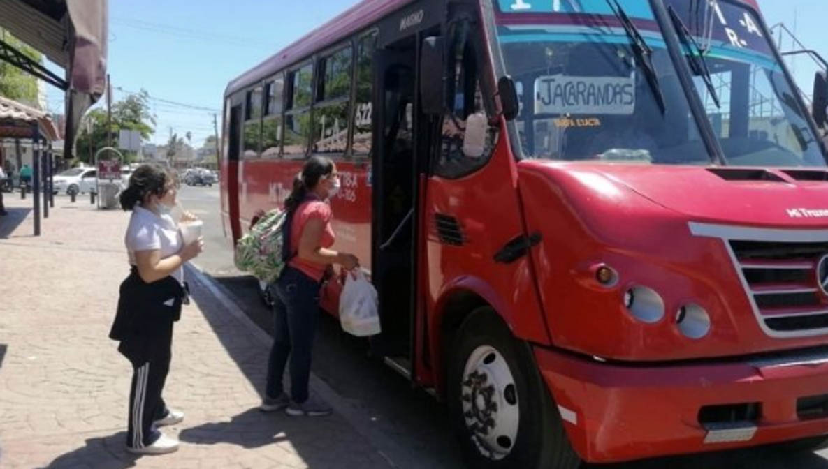 Causa alarma en Empalme, venta de azúcar contaminada con orina de ratas