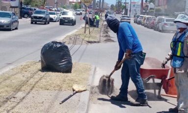 Trabajan en mejora de imagen urbana en bulevar Benito Juárez