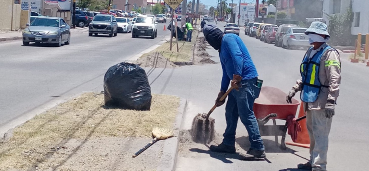 Trabajan en mejora de imagen urbana en bulevar Benito Juárez