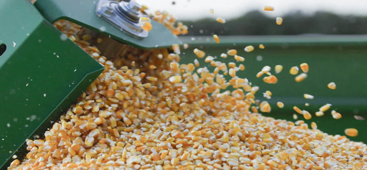 Rusia y Ucrania reanudan los embarques de grano