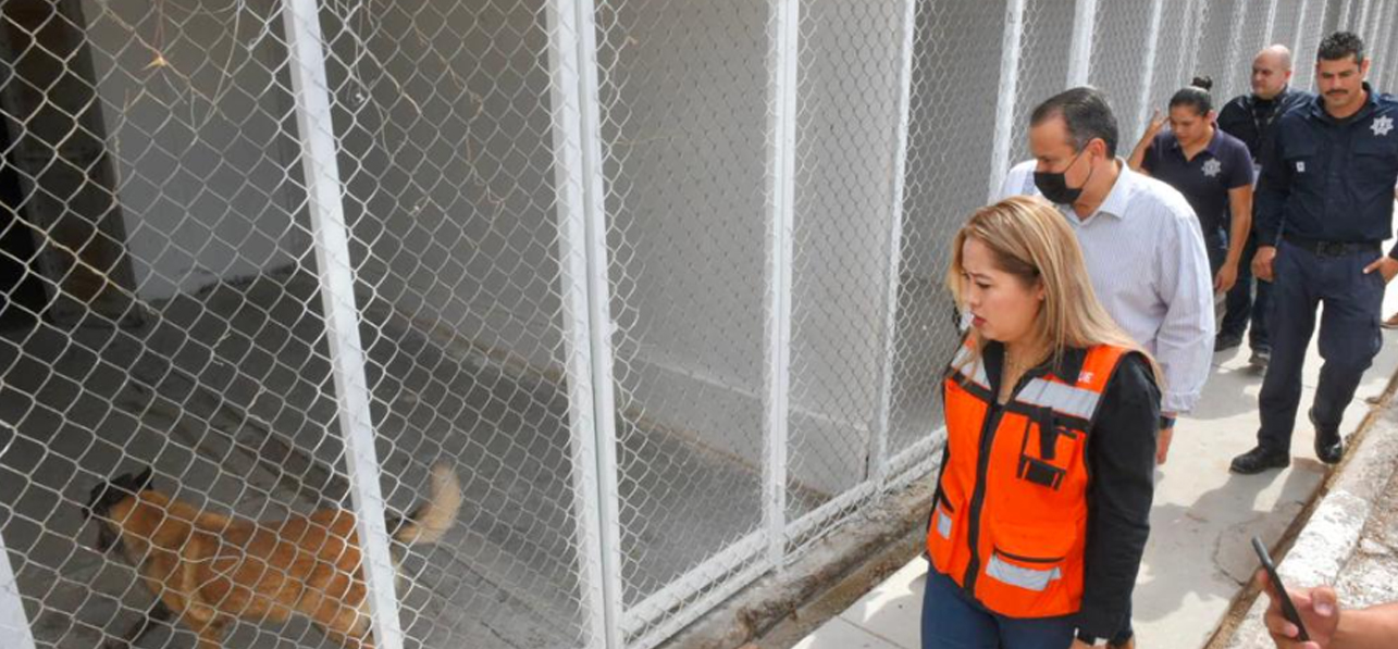 Verifica Toño Astiazarán mejores instalaciones para perros de la Unidad K9