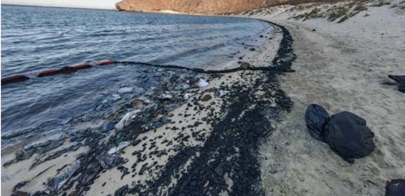 Catástrofe ambiental en Balandra, BCS; yate se quema y derrama combustible al mar