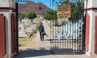 Realizan dependencias de salud acciones de fumigación en cementerios locales