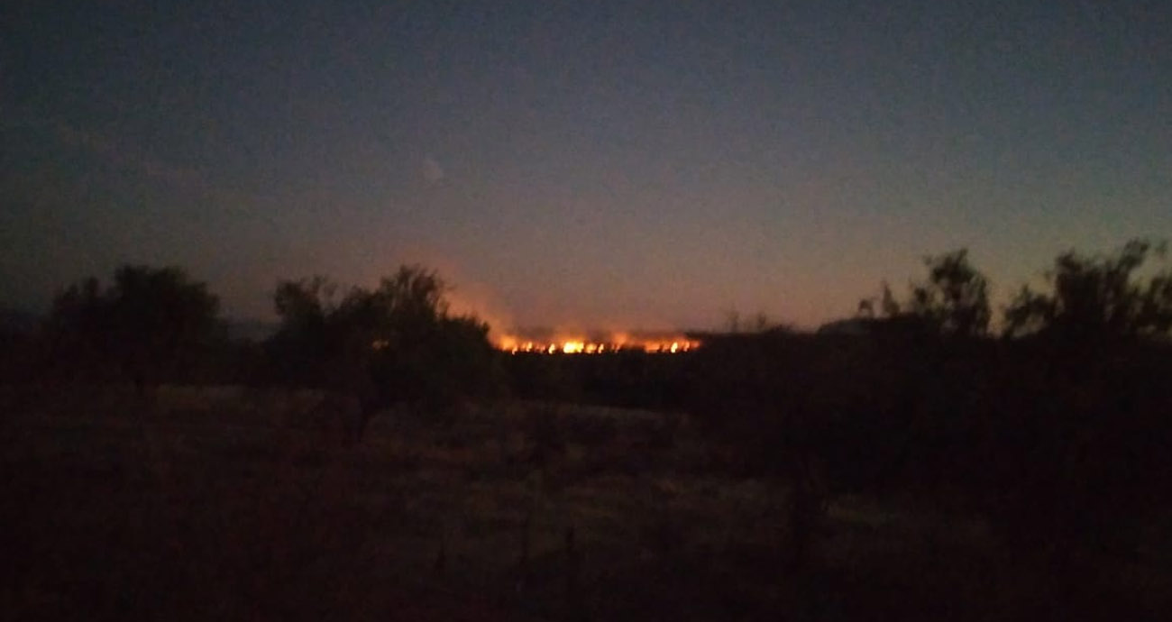 APOYAN AGENTES DE LA SSPM A SOFOCAR INCENDIO FORESTAL EN HORNOS