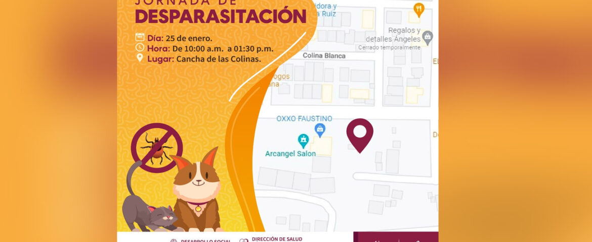 Promueve Ayuntamiento de Guaymas ‘jornada de desparasitación’.