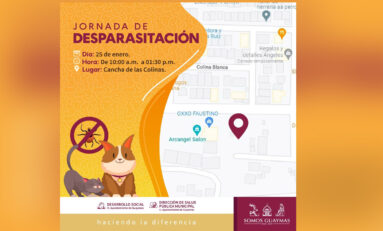 Promueve Ayuntamiento de Guaymas ‘jornada de desparasitación’.