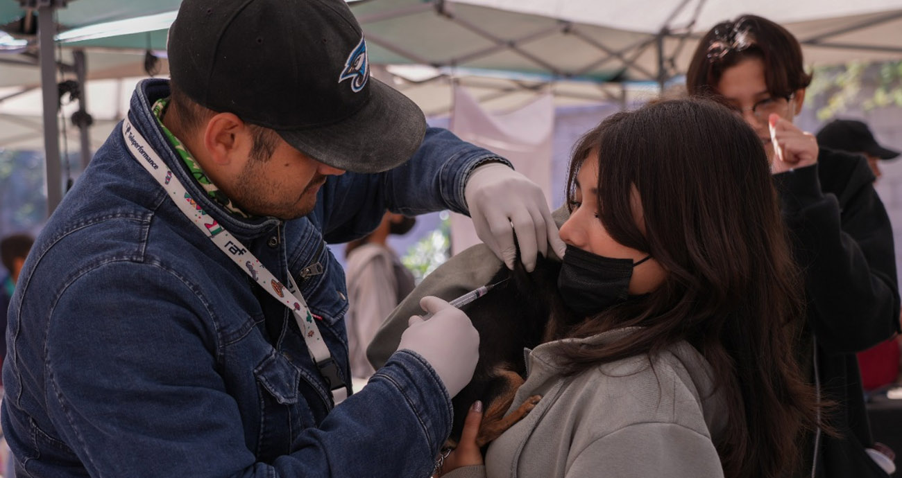 Salud Sonora mantiene vigilancia epidemiológica por rabia silvestre en perro de Bahía de Kino
