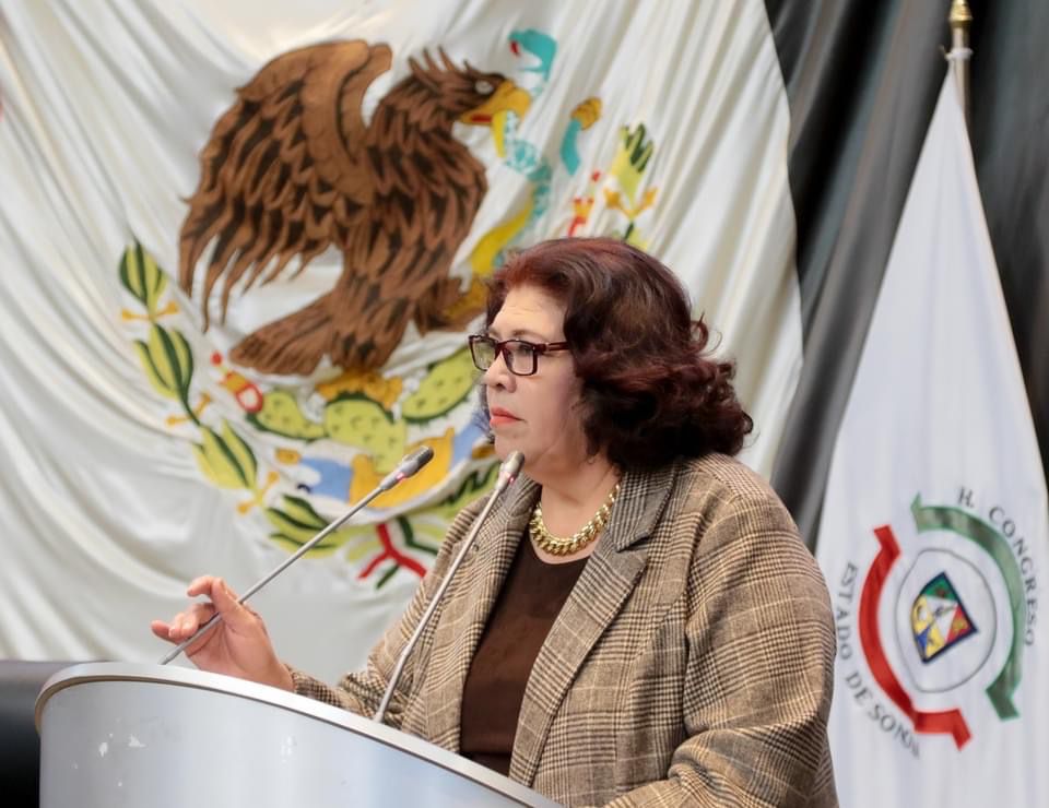 SOLICITA DIPUTADA ALICIA GAYTÁN CAMPAÑAS CONTRA RETOS VIRALES QUE PONEN EN RIESGO LA VIDA DE NIÑAS, NIÑOS Y ADOLESCENTES.