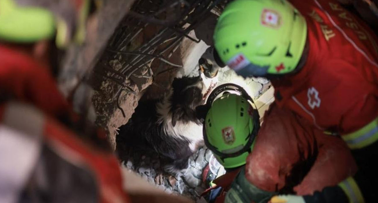 Misión mexicana en Turquía: “Esto es muchísimo mayor al sismo del 85”