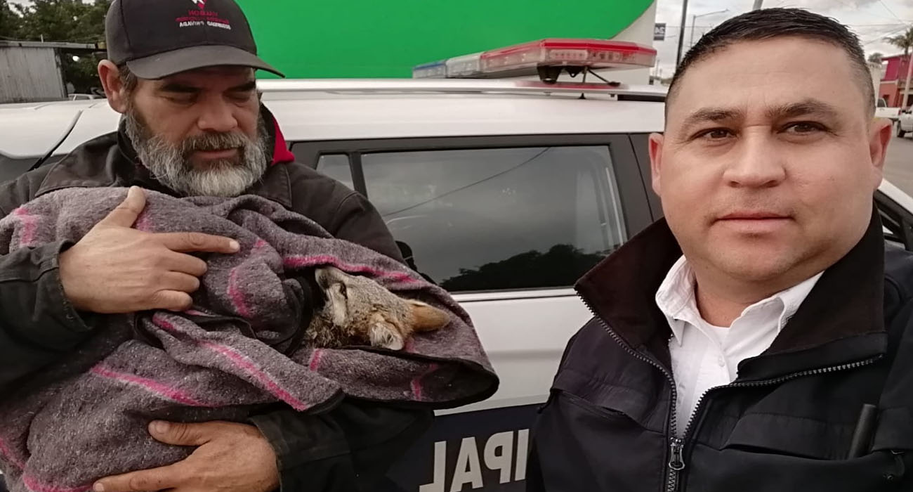 ACCIONES POLICIALES PARA LA SEGURIDAD DE HERMOSILLO