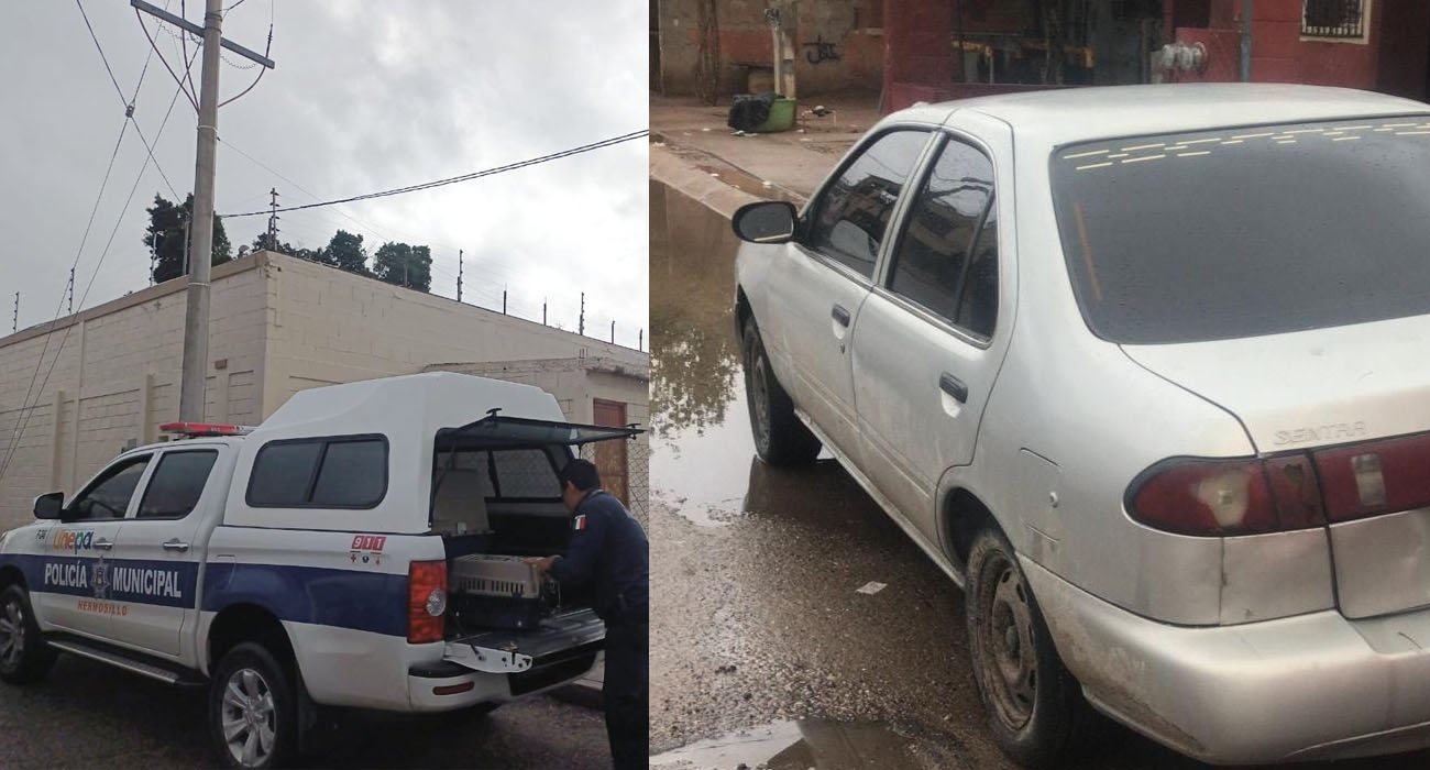 ACCIONES POLICIALES PARA LA SEGURIDAD DE HERMOSILLO