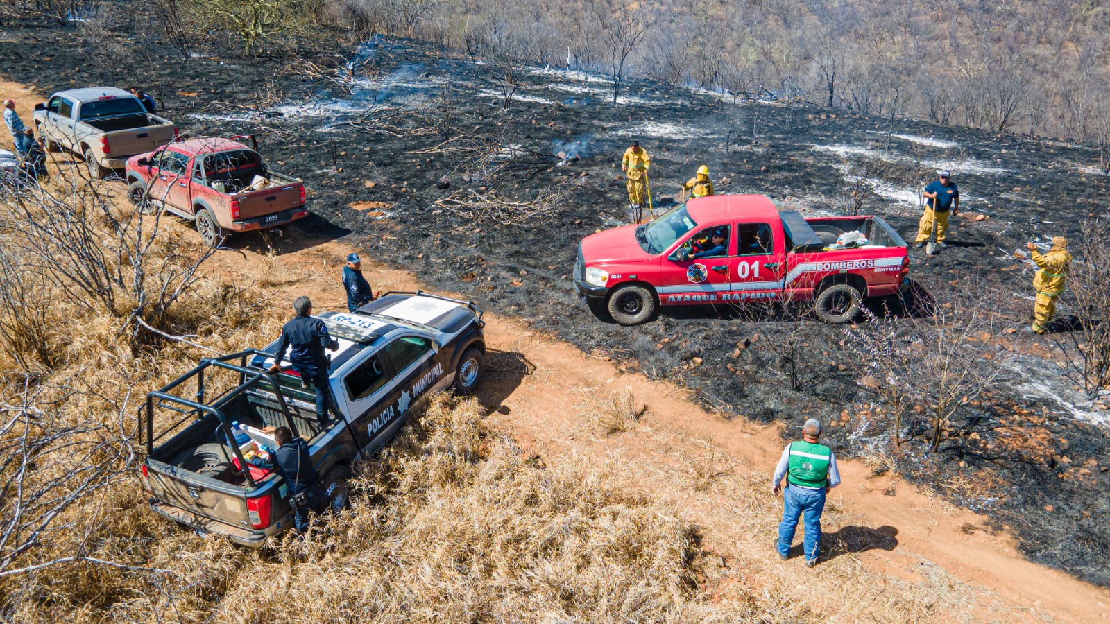 Atienden unidades de emergencia incendio forestal en Guaymas y Suaqui Grande