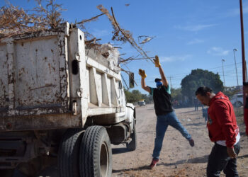 Avanza descacharrización en Navojoa