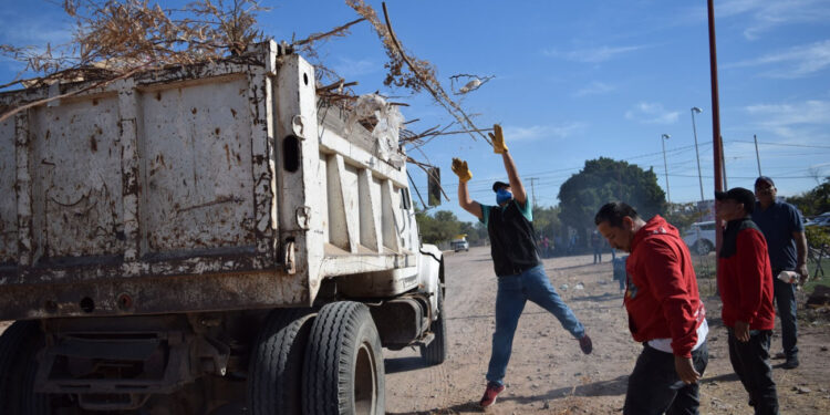 Avanza descacharrización en Navojoa