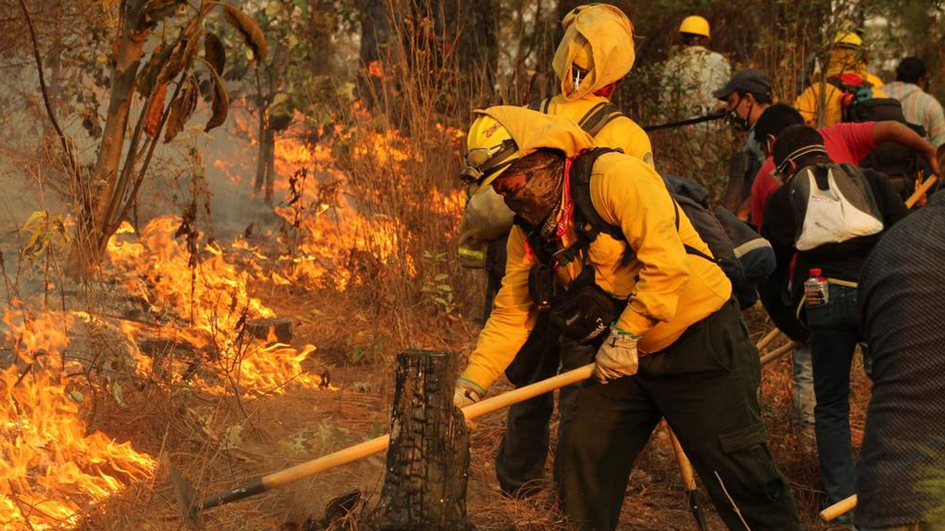 Oleada de incendios forestales amenaza al país por la sequía