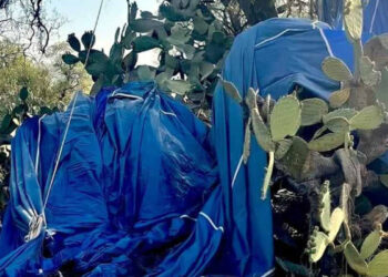 Identifican a dueño de empresa de globo aerostático incendiado que dejó 2 muertos