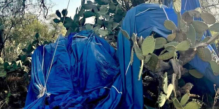 Identifican a dueño de empresa de globo aerostático incendiado que dejó 2 muertos