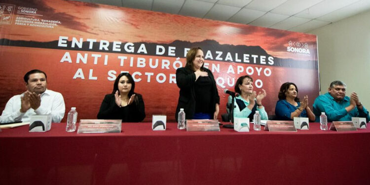 Participa Ayuntamiento de Guaymas en entrega de brazaletes ‘anti tiburón’.