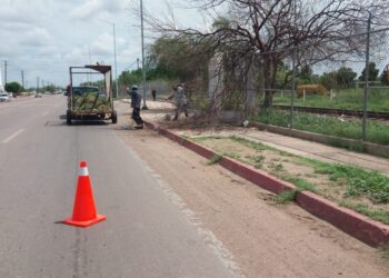 Alcalde Prof. Chuy Flores pide mantener un Huatabampo limpio.