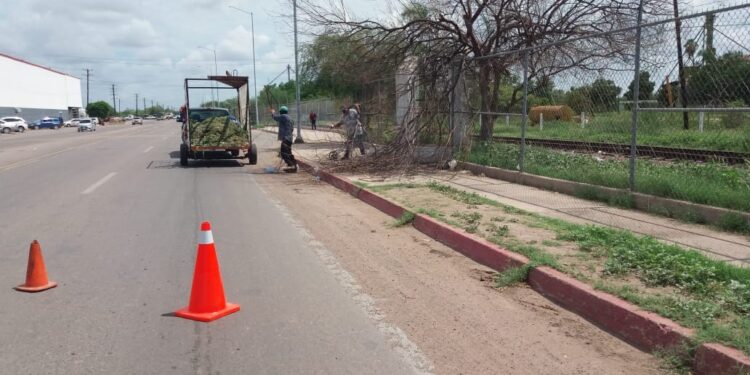 Alcalde Prof. Chuy Flores pide mantener un Huatabampo limpio.